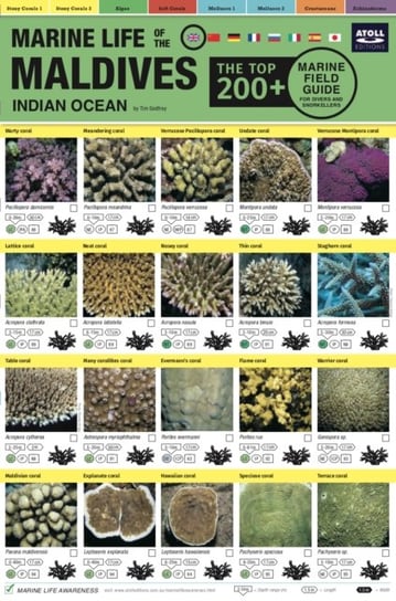 Maldives Marine Life Field Guide: Top 200+ Tim Godfrey