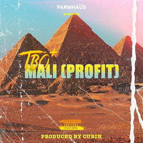 Mali (Profit) TbO