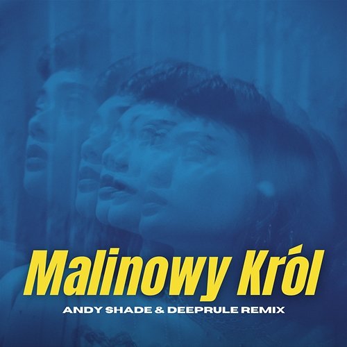 Malinowy Król (Andy Shade & Deeprule Remix) DJ Refresh