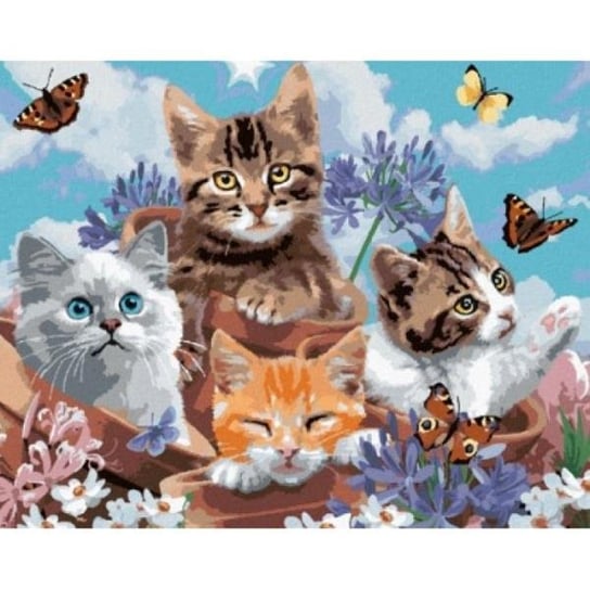 Malowanie po numerach 4 kotki z motylami 40 x 50cm 6374 Norimpex