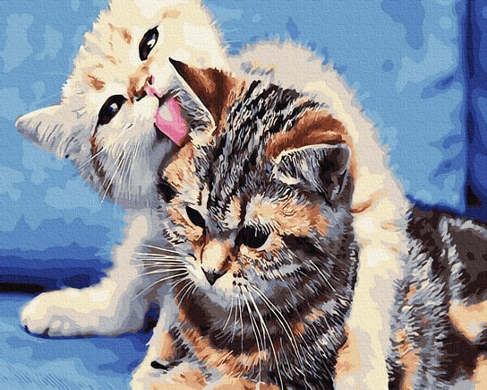 Malowanie po numerach, 40x50 cm - Dwa kotki Varmacon