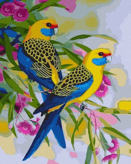Malowanie po numerach, 40x50 cm - Papugi w kwiatach Varmacon