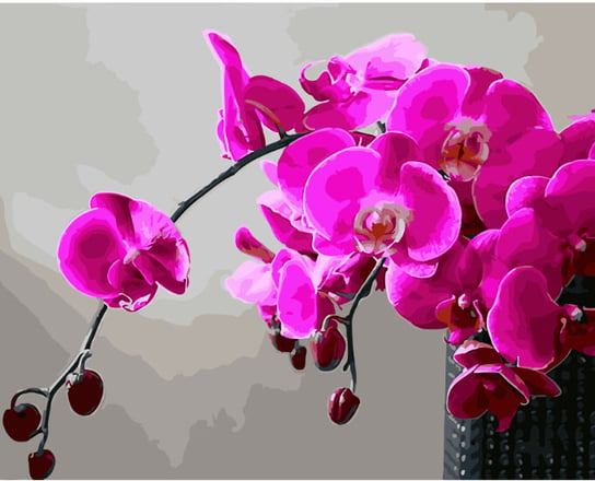 Malowanie po numerach, 40x50 cm - Różowa orchidea Varmacon