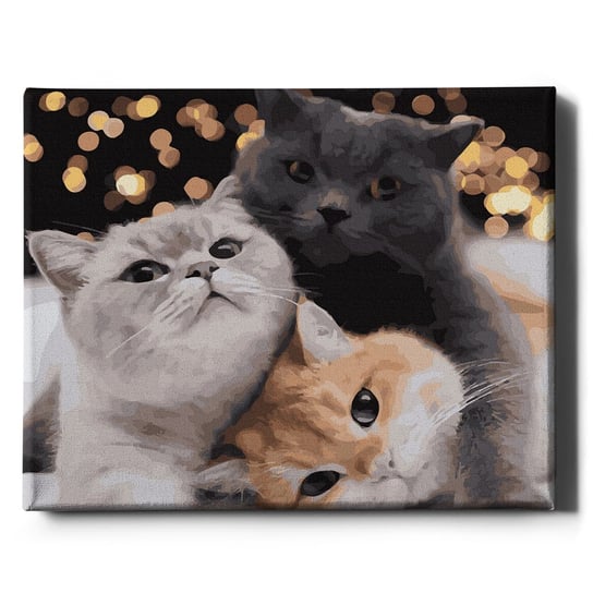 Malowanie po numerach, 40x50 cm - Trzy kocięta | Oh Art! Oh Art!