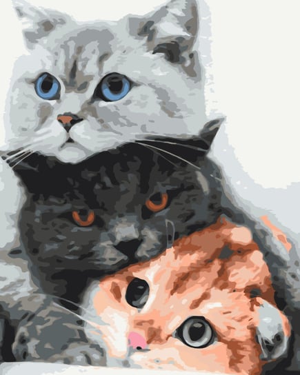Malowanie po numerach 40x50 Koty mruczą / Twoje Hobby Twoje Hobby