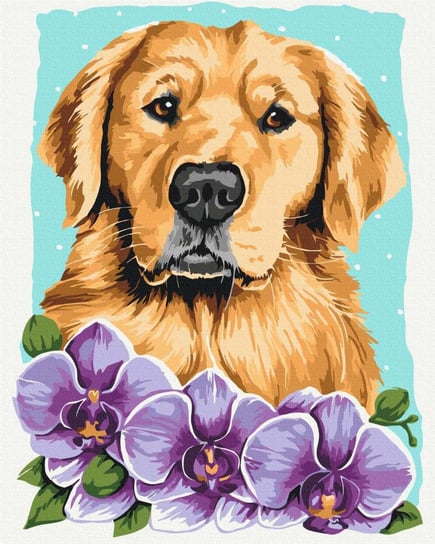 Malowanie po numerach 40x50cm Golden retriever Twoje Hobby