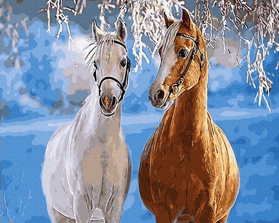 Malowanie po numerach 40x50cm Para koni Twoje Hobby