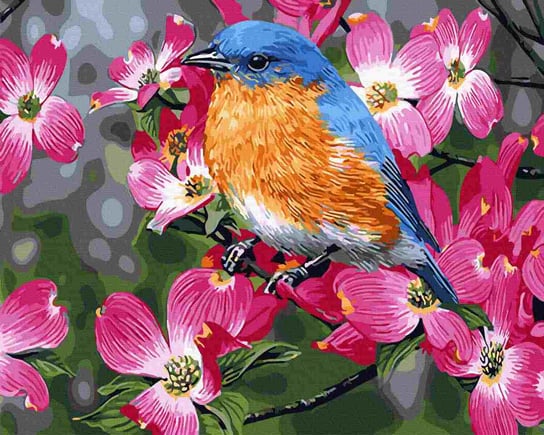 Malowanie Po Numerach 40X50cm Zwiastuny Wiosny Twoje Hobby