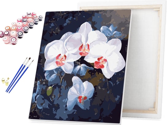 Malowanie po Numerach Biały Storczyk Orchidea / beliart beliart