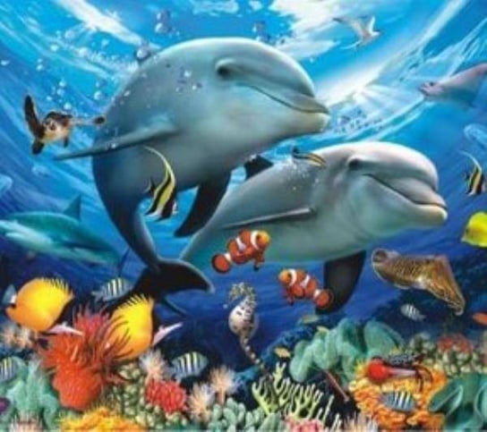 Malowanie po numerach Delfiny, oceanarium 40 x 50 5608 Norimpex