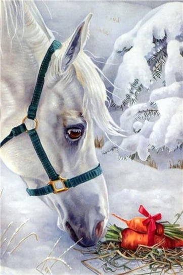 Malowanie po numerach Koń biały 40 x 50 5540 Tony