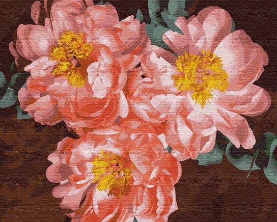 Malowanie Po Numerach Obraz Prezent Piwonie Kwiaty Ideyka
