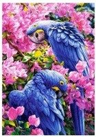 Malowanie Po Numerach Papugi Fioletowe W Kwiatach Norimpex