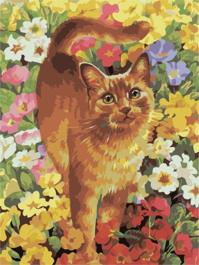 Malowanie po numerach, Rudy kotek, 40x50 cm hobby-maniak
