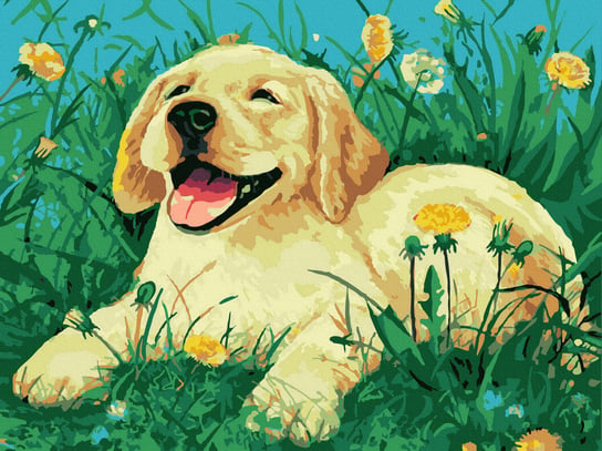 Malowanie Po Numerach Szczęśliwy Pies 30X40 Twoje Hobby