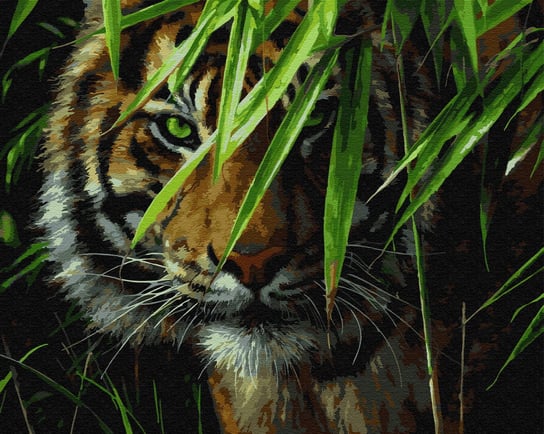 Malowanie po numerach zestaw Artimento 40x50 na blejtramie, Dziki tygrys Artimento