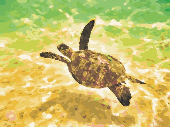 Malowanie po numerach, Żółw morski, 30x40 cm hobby-maniak