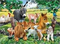 Malowanie Po Numerach Zwierzęta Na Farmie Norimpex