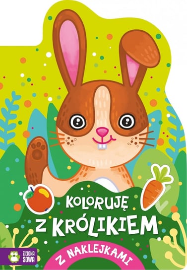 Malowanka, 200x285, Koloruje z królikiem, Naklejki Zs Zielona Sowa