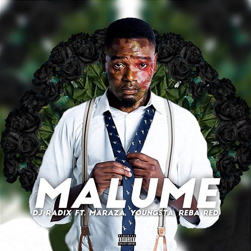 Malume DJ Radix feat. Maraza, Reba Red, Youngsta CPT