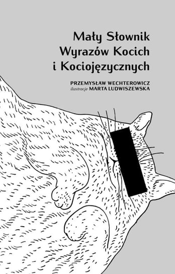 Mały słownik wyrazów kocich i kociojęzycznych Wechterowicz Przemysław, Ludwiszewska Marta