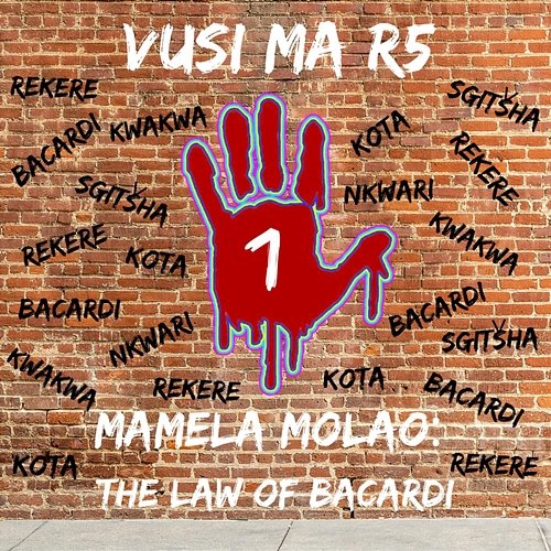 MAMELA MOLAO - THE LAW OF BACARDI 1 Vusi Ma R5