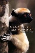 Mammals of Madagascar: A Complete Guide Garbutt Nick
