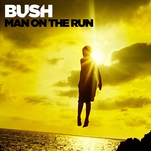 Man On The Run Bush