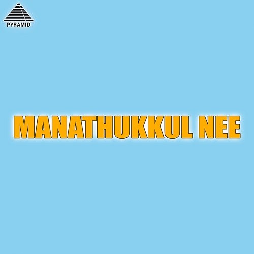 Manathukkul Nee (Original Motion Picture Soundtrack) Raj Manoj and Mano