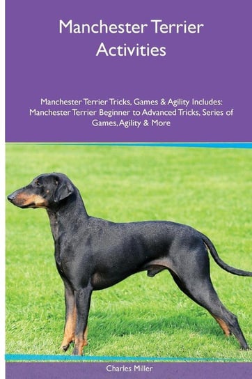 Manchester Terrier  Activities Manchester Terrier Tricks, Games & Agility. Includes Miller Charles