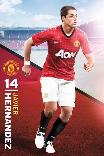 Manchester United Hernandez 12/13 - plakat 61x91,5 cm Manchester United