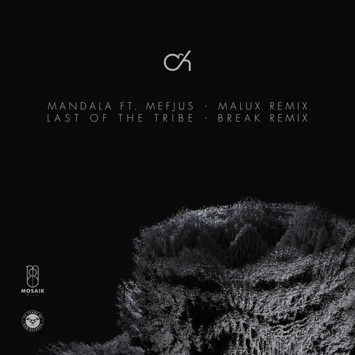 Mandala / Last of the Tribe (Break Remix) Camo & Krooked