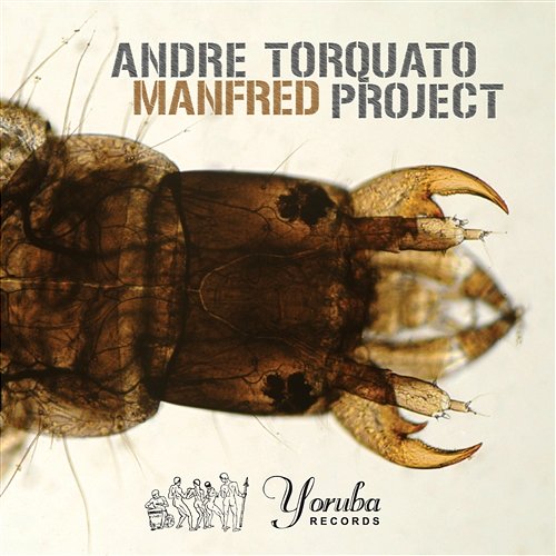 Manfred Andre Torquato Project