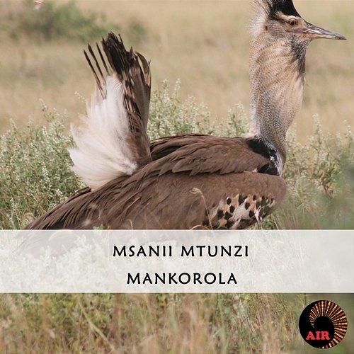 Mankorola Msanii Mtunzi