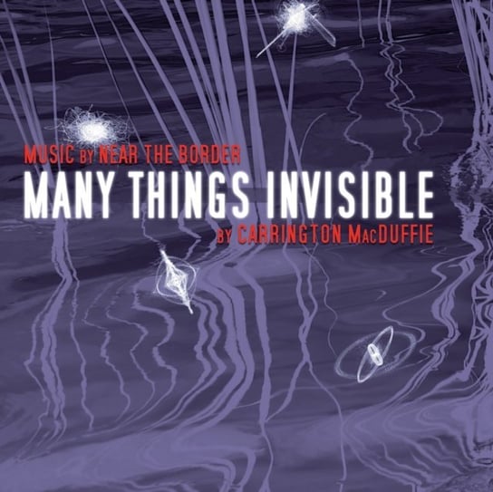 Many Things Invisible MacDuffie Carrington