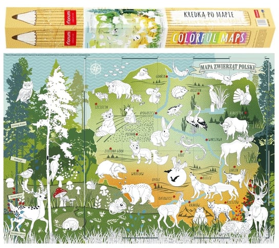 Mapa do kolorowania XXL "Zwierzęta Polski" Monumi Monumi