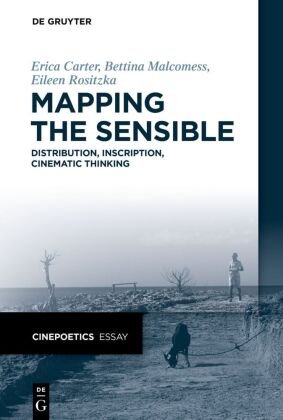 Mapping the Sensible De Gruyter