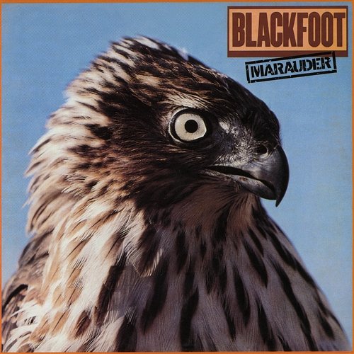 Marauder Blackfoot