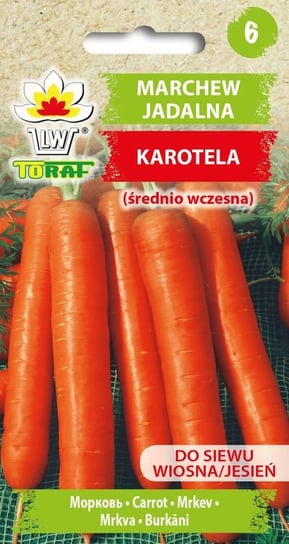 Marchew KAROTELA (śr. wczesna)
Daucus carota L. Toraf