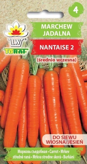 Marchew NANTAISE 2 (śr. wczesna)
Daucus carota L. Toraf