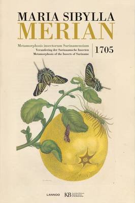 Maria Sibylla Merian. Metamorphosis Insectorum Surinamensium Merian Mariasibylla