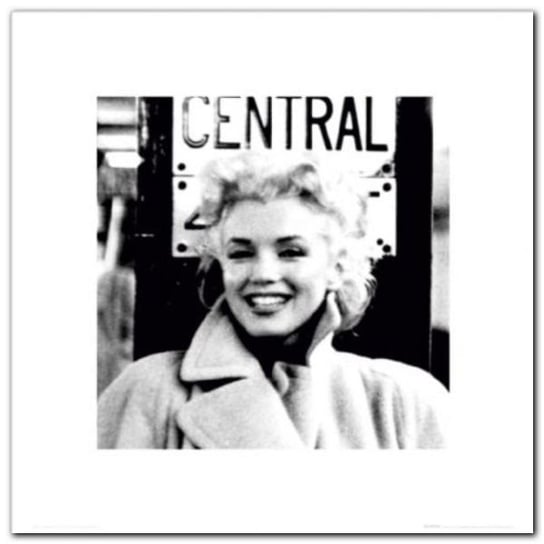 Marilyn Monroe plakat obraz 40x40cm Wizard+Genius