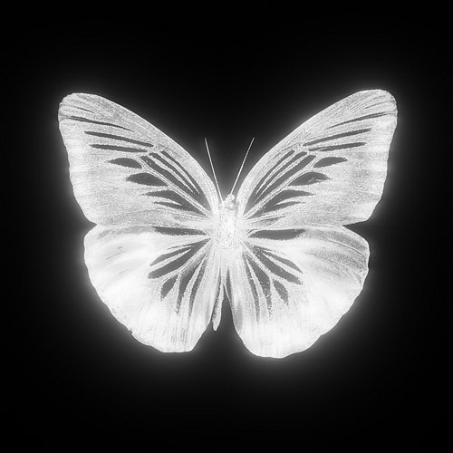 MARIPOSA Fuera