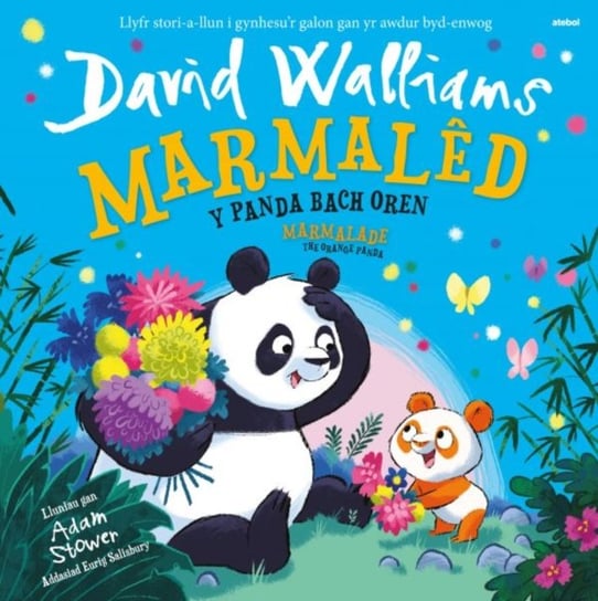 Marmaled - Y Panda Bach Oren / Marmalade - The Orange Panda David Walliams