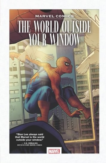 Marvel Comics: The World Outside Your Window Joe Simon