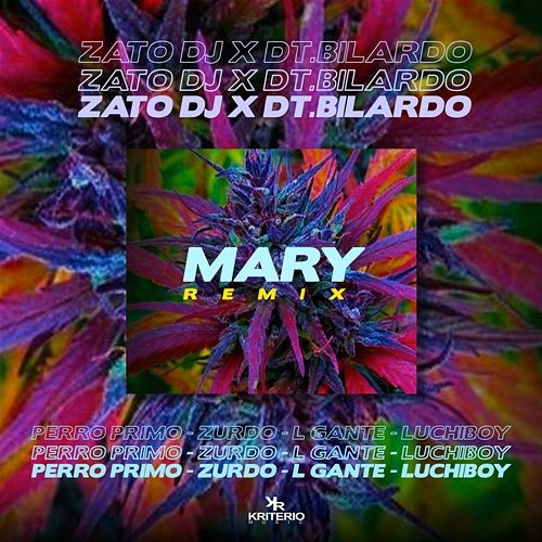Mary Remix Zato DJ, Perro Primo, L-Gante feat. DT.Bilardo, Zurdo, Luchiboy