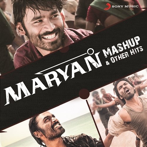 Maryan Mashup & Other Hits Various Artists