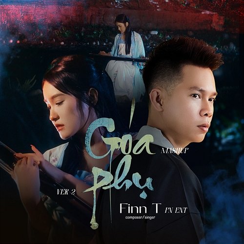 Mashup Goá Phụ PN Ent, Finn T