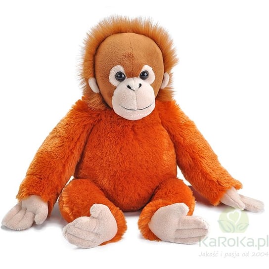 maskotka młody orangutan Aurora