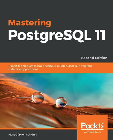 Mastering PostgreSQL 11 Hans-Jürgen Schönig